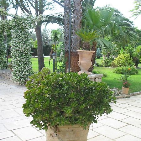 Villa Cecilia Матино Номер фото